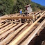 Palumbo SARL - Rénovation de la charpente